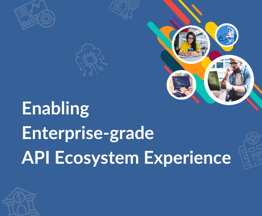 API Ecosystem Experince